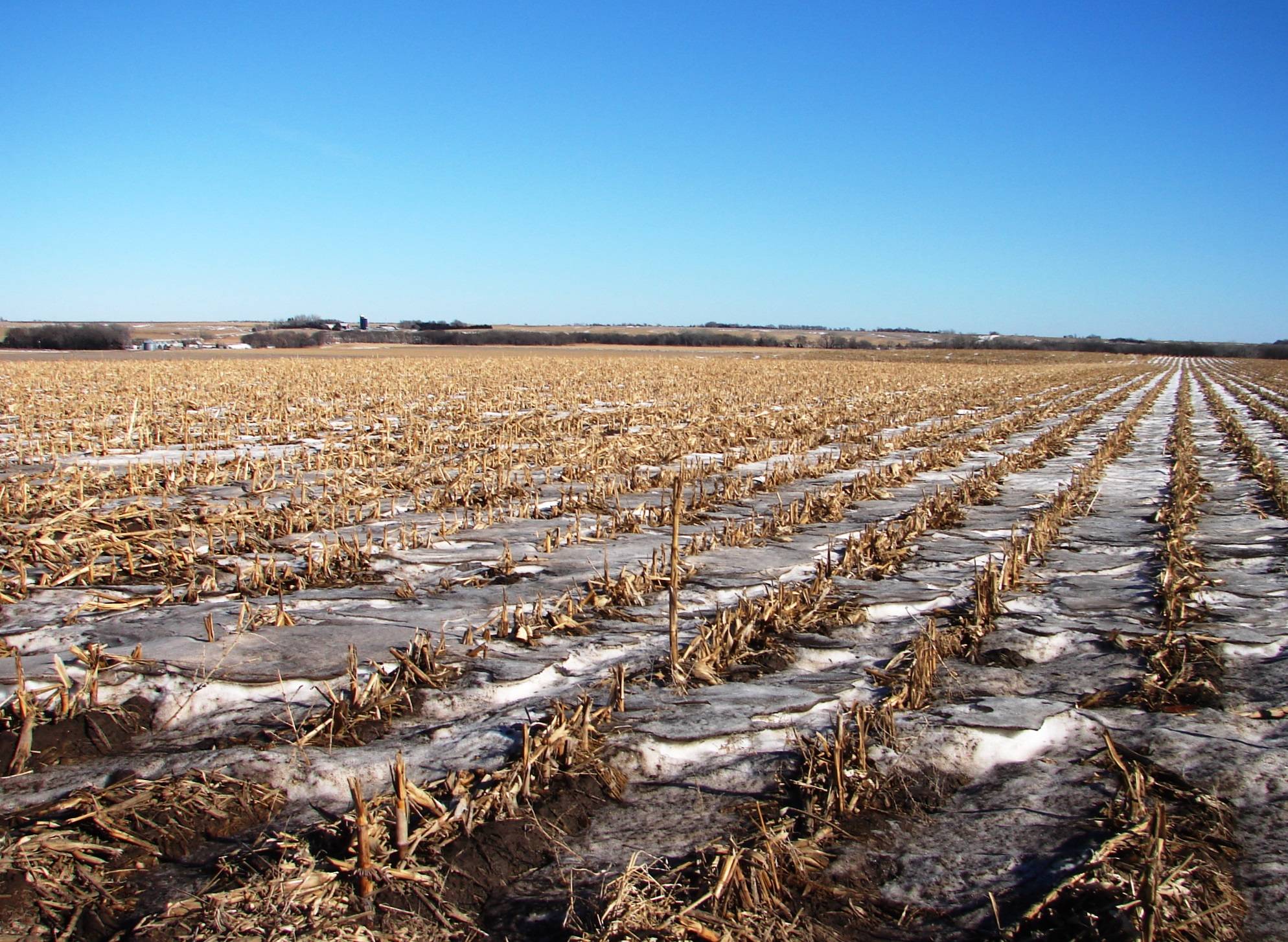 280 ACRE ABSOLUTE LAND AUCTION in HOWARD COUNTY, NE 3/5